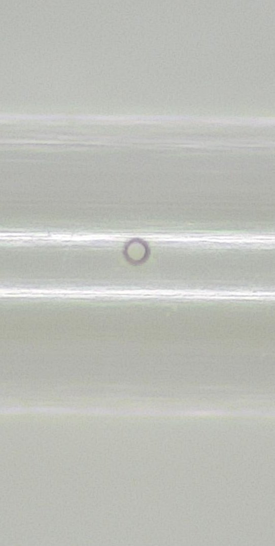 Figure 3a (Femtosecond laser).png