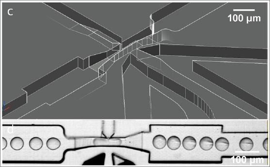 3. Design approaches with ramps to observe droplet contents in flow  under different channel heights.JPG